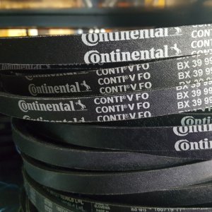 Paski klinowe uzębione BX Continental na magazynie 